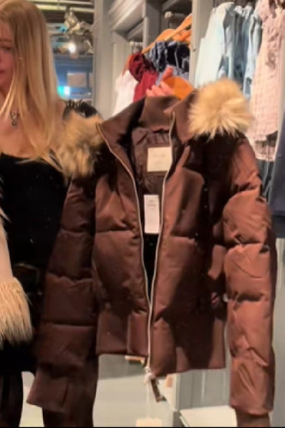 Dames Korte Pufferjas met Capuchon Bruin